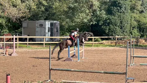 Ecurie de Capitoro Centre Equestre