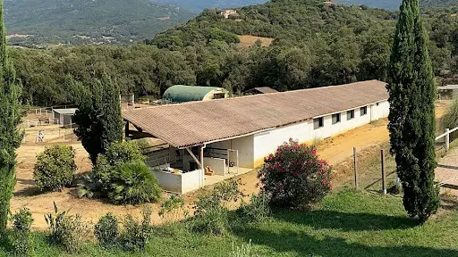 Les Écuries des Vignes