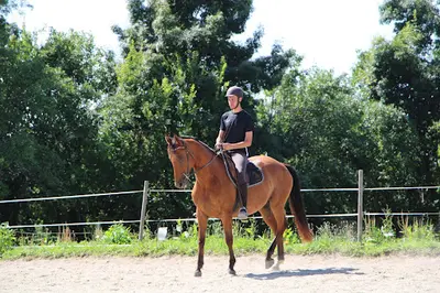 Centre Équestre de Caussade Didier Thouron Équitation