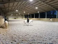 O. S. E. / Objectif Sport Equitation