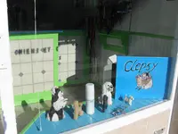 Clepsy