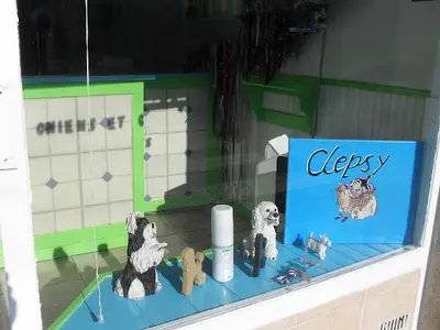 Clepsy