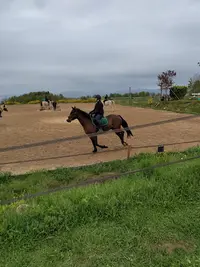 Ferme Équestre & Pédagogique de Chantaigut