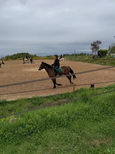 Ferme Équestre & Pédagogique de Chantaigut