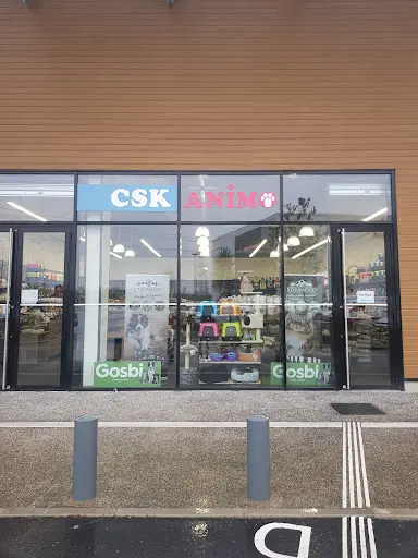 Csk Animo Cergy