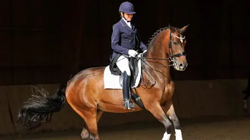 Ecurie du Centre Equestre du Bien Aller