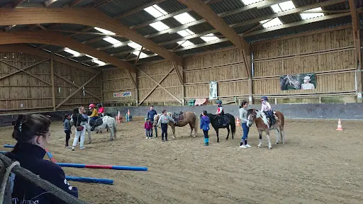 Haras des Champs Denets Guy