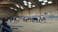 Haras des Champs Denets Guy