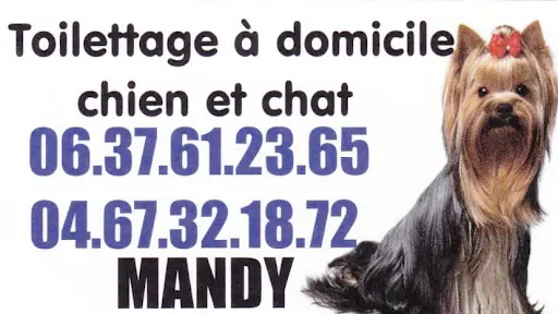 À Domicile Toilettage Chien et Chat