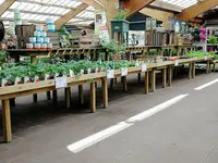 Jardiland
