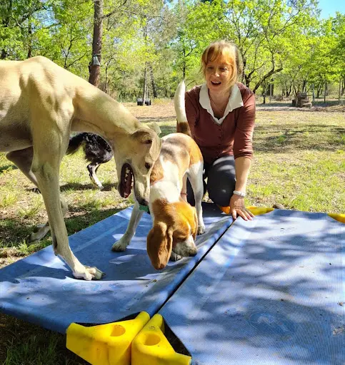 Comportementaliste et Éducateur Canin Carole Laporte Canicaro Gironde Bordeaux Cestas