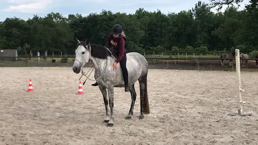 Horse Club de Bordeaux