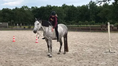 Horse Club de Bordeaux