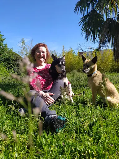Donne la Patte - Educateur Comportementaliste Canin