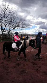 Equitadapt - Anne Cheville