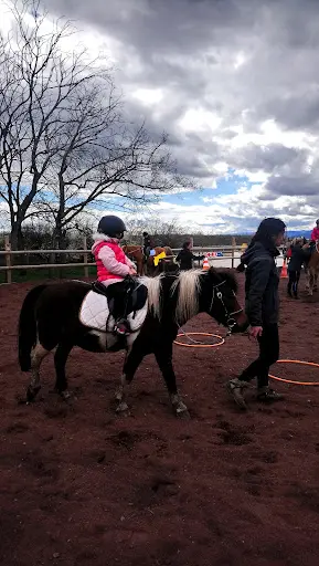 Equitadapt - Anne Cheville