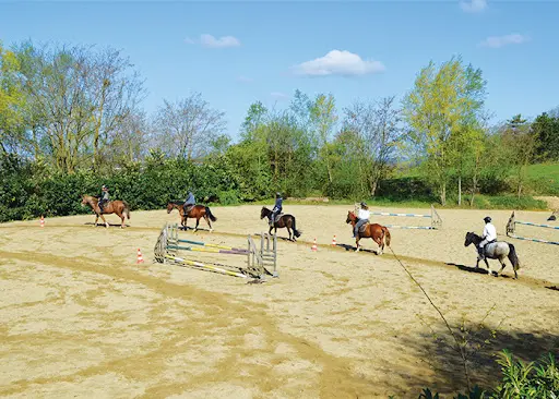 Cheval Bugey