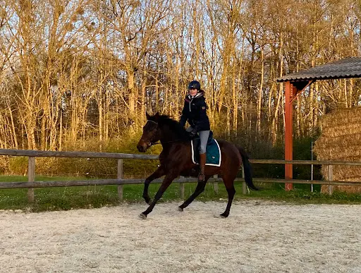 Centre Equestre du Centaure