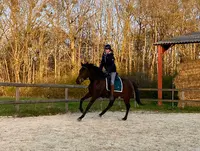 Centre Equestre du Centaure