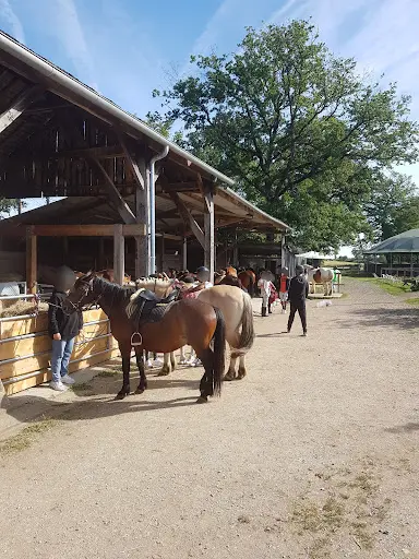 Ecurie du Domaine de la Javelotière