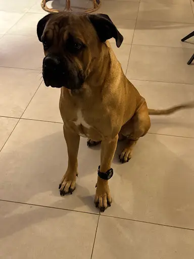 Le Châlet des Cane