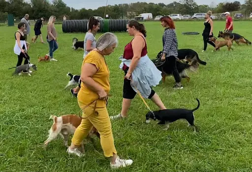 l'École Canine Pour Tous