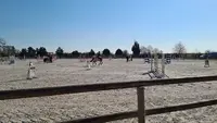 Centre Équestre Poney Club le Destrier