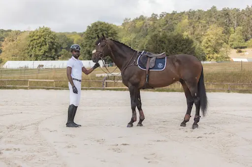 Bls Sport Horses