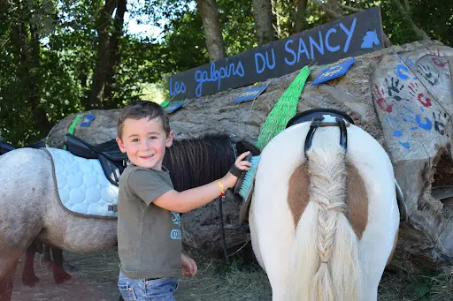 Galopins du Sancy - Balades À Poney