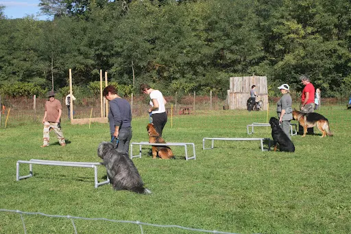 Club Canin Terre des Chiens
