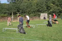 Club Canin Terre des Chiens