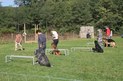 Club Canin Terre des Chiens