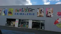 Family Pet