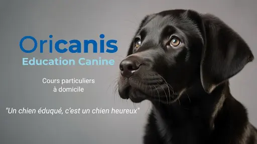 Oricanis - Educateur Canin