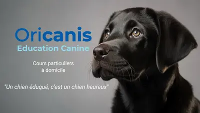 Oricanis - Educateur Canin