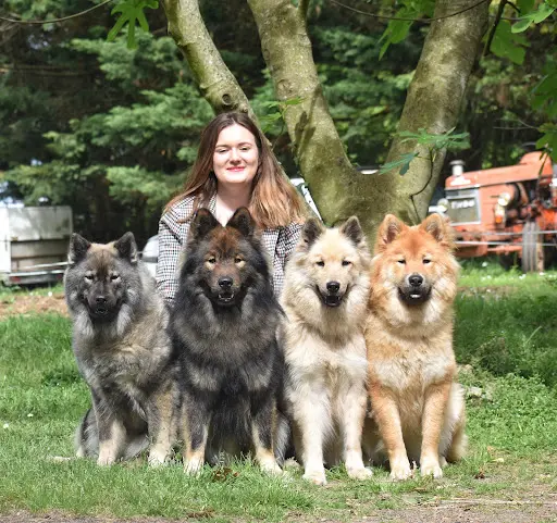 Des Diamants de l'Océan | Élevage Familial Eurasier | Pet Sitter/pension Canine Familiale