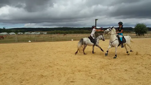 Les Poneys d'Abord