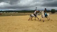Les Poneys d'Abord
