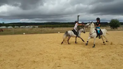 Les Poneys d'Abord
