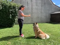 Patte m'en Cinq