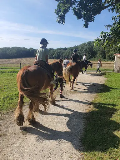 Haras du Diamantnoir