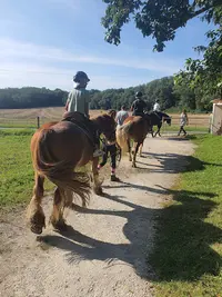 Haras du Diamantnoir