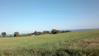 Champeyroux Yves Pension Canine les Baloyes