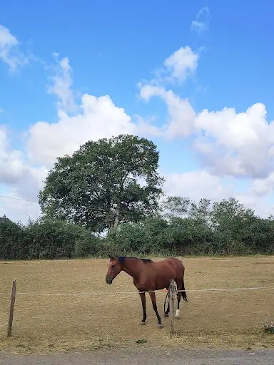 Club Hippique du Haras de Tigran