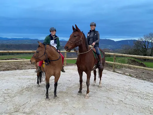 Les Hirondelles de Chanay