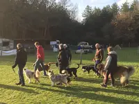 Club Canin E.c.a.v 72 Education des Chiens Actifs et Visiteurs 72