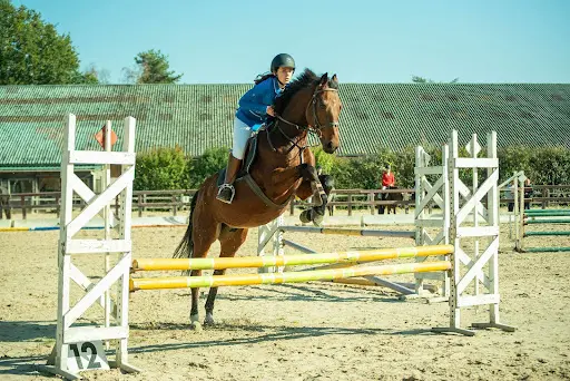 Club Hippique du Mans