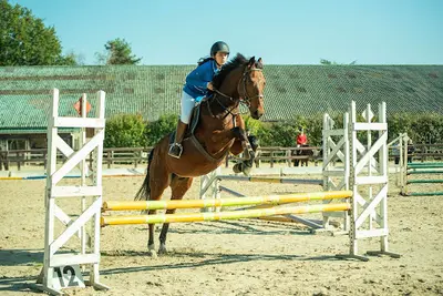 Club Hippique du Mans