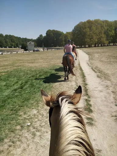 Espace Equestre Henson - Chantilly