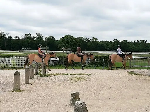 Musée Vivant du Cheval